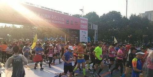 井陉马拉松爆料最新消息,赛事精彩瞬间与亮点速览